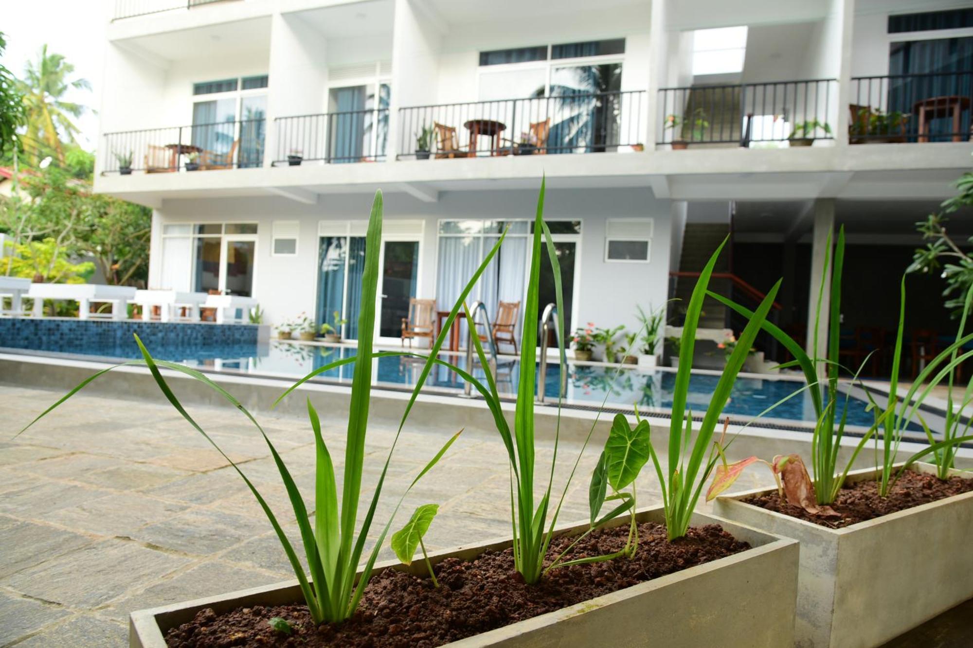 Di Sicuro Tourist Inn Hikkaduwa Extérieur photo